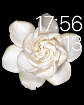 Apple Watchの文字盤に使われている花たち Pomona S Little Kingdom