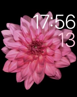 Apple Watchの文字盤に使われている花たち Pomona S Little Kingdom